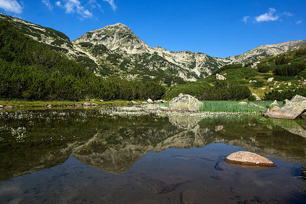 istock Hvoynati Peak and Mountain River, Pirin Mountain 483119452