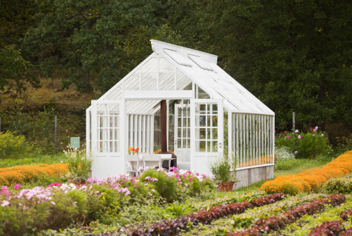 Nice greenhouse with flowers