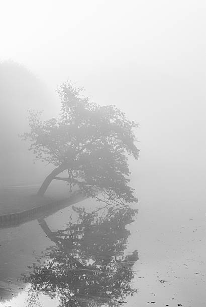 istock Autumn park on a misty morning. 483121349