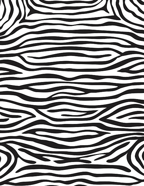 Zebra pelle - illustrazione arte vettoriale