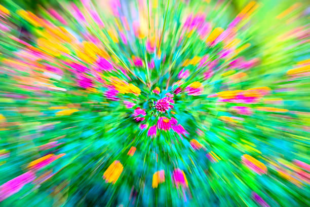 istock motion blur flower Lantana camara 483121977