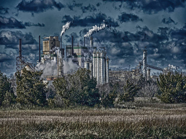istock Marshes Of Glynn 483122192