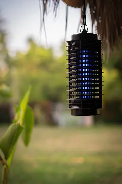 Mosquito trap, electric zapper