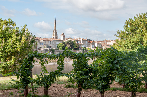 a view of the town of Sainte Foy la grande with a vineyard in the foreground