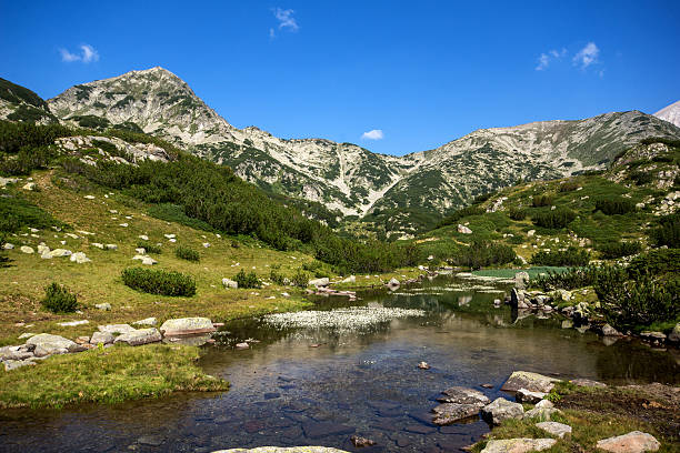 istock Hvoynati Peak and Mountain River, Pirin Mountain 483127432