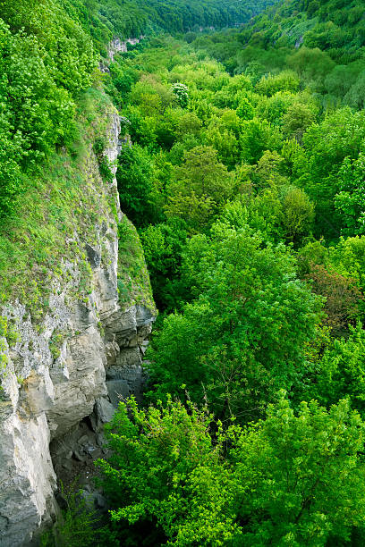 istock Canyon view in Kamyanets-Podilskyi 483127472