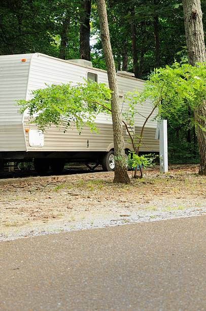 istock Generic travel trailer in campsite 483127596