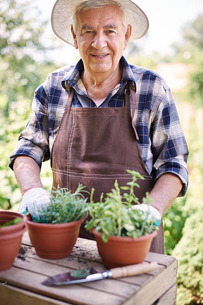 istock My herbs are strong and healthy 483128578
