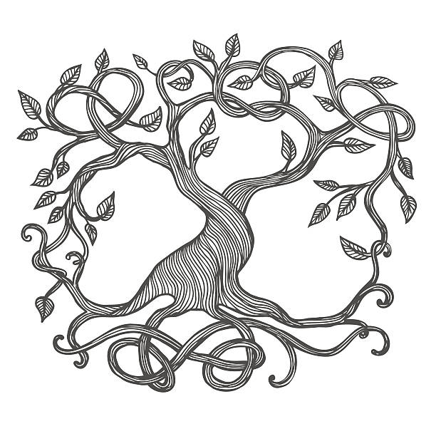 ilustraciones, imágenes clip art, dibujos animados e iconos de stock de celta árbol de la vida - yggdrasil