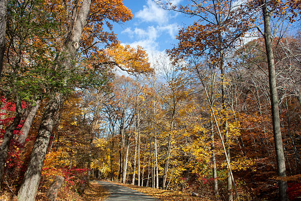 istock Sleepy Hollow in the Fall 483135353