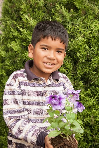 Asian descent little boy holds a petunia flower, which he is about to plant in a flower bed or garden area of a neighborhood park.  The cute child is holding the roots of the purple flowering plant and is excited to help make his local park more beautiful. Volunteerism, lend a helping hand.