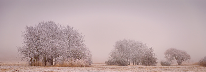 Frost and fog on the moor. Wintertime panorama.