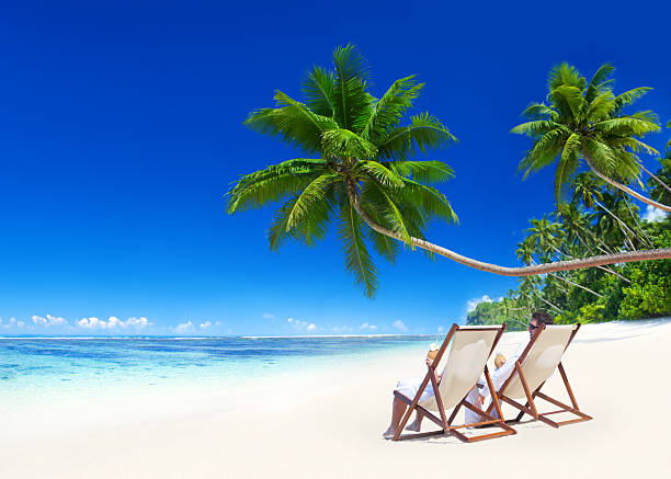A sun lounger and palm at exotic beach with white sand. The Dominican Reepublic.