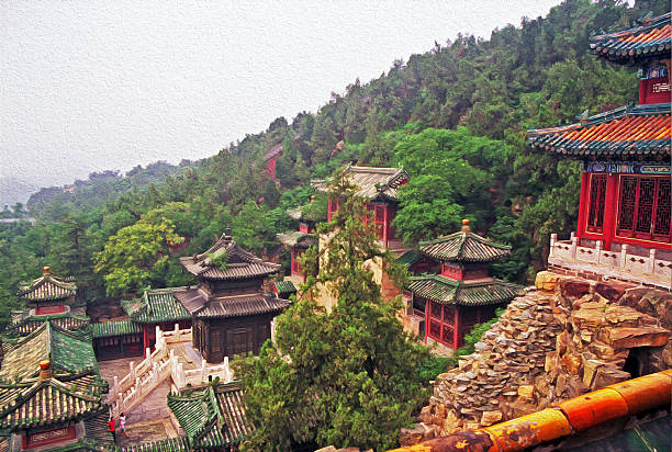 10+ Collina Della Longevità Illustrazioni Foto stock, immagini e fotografie royalty-free - iStock