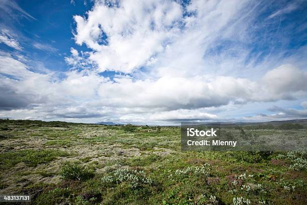 Sommerwiese Stockfoto und mehr Bilder von Blau - Blau, Dramatischer Himmel, Einfachheit