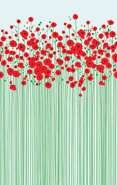field of fragile scarlet poppies clear blue sky An original artwork vector illustration of a field of scarlet poppies in early spring. Springtime flowers with tall green stems on a light-blue background. Vertical portrait composition, that may serve as postcard, flyer, poster, invitation, wallpaper, shop window that brings freshness, Remembrance, Day, commemoration, Easter, peace, freedom, love, XOXO. red poppy stock illustrations