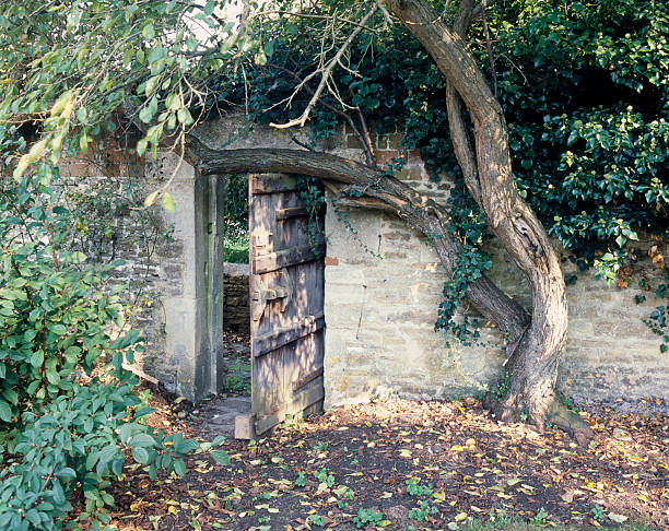 Rear view of a walled cottage garden with an ancient stone wall and an wooden door.