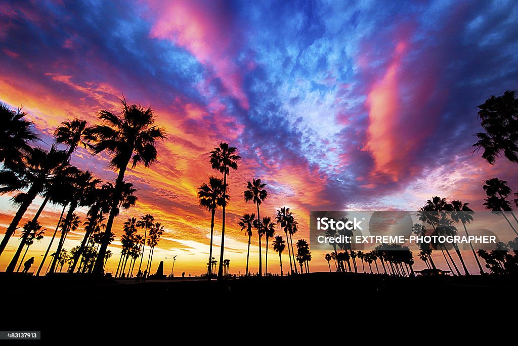 Exotische Abend - Lizenzfrei Verwaltungsbezirk Los Angeles County Stock-Foto