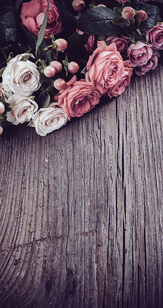 istock pink and beige roses 483138220