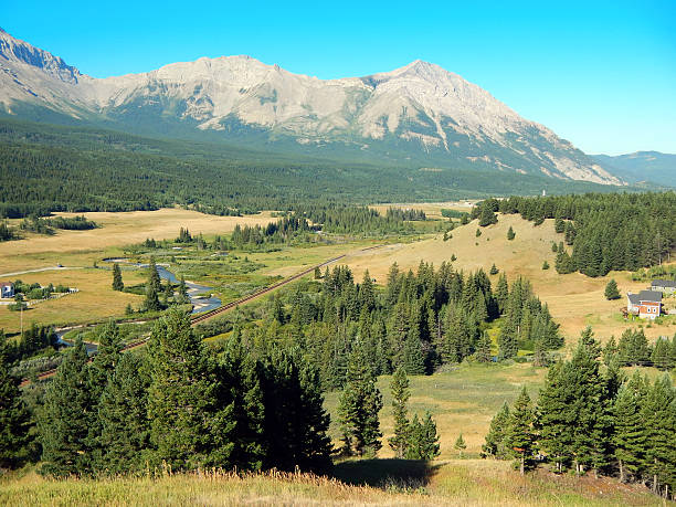 istock Crowsnest River  and Rocky Mountains from above- summer 483138460