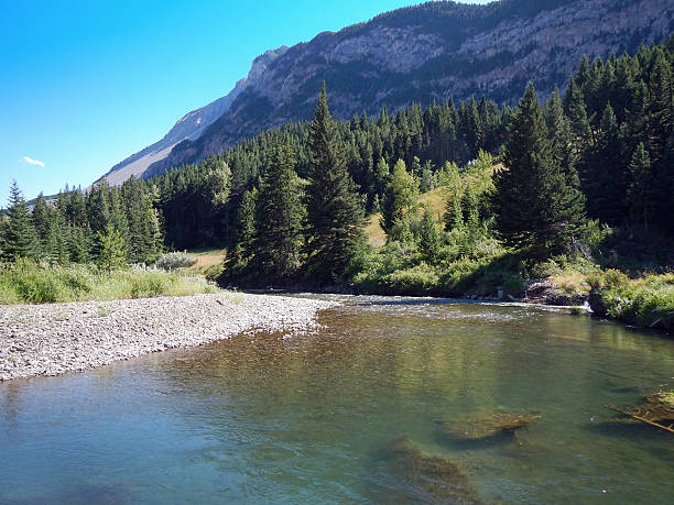 istock Crowsnest River and fishing area in summer- Alberta 483138464