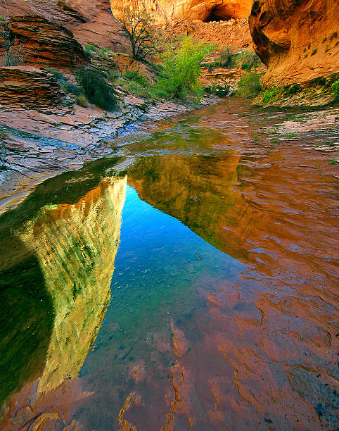 Reflected Rock A pool of standing water reflects the canyon walls,  Glen Canyon National Recreation Area. garfield county montana stock pictures, royalty-free photos & images