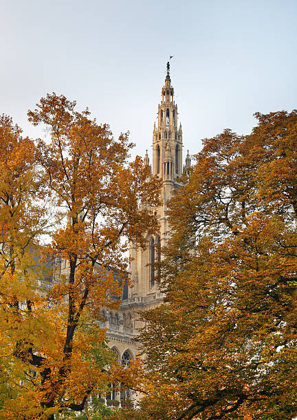 istock Town Hall (Rathaus) in Vienna. Austria 483138891