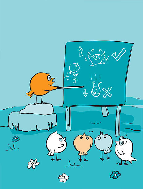 Bird Brains Flying Lesson - Class Room Cartoon A cartoon of birds learning to fly. Drawn in a hand drawn scribbly style. Birds and background are on separate layers. Pdf and jpg files are included. birdbrain stock illustrations