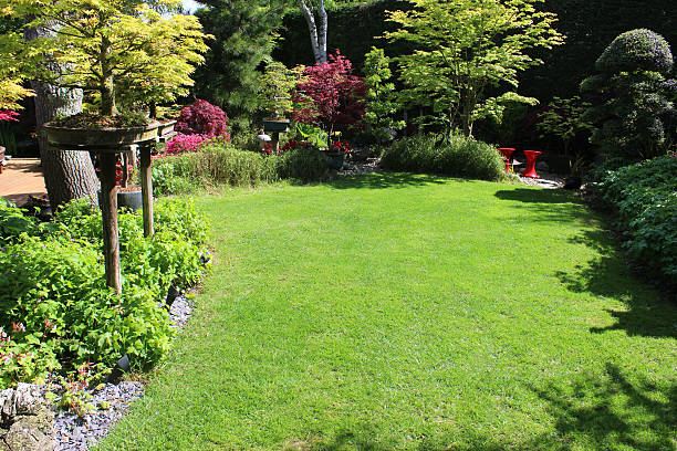 istock Image of irregular shaped green lawn with fine mown grass 483139342