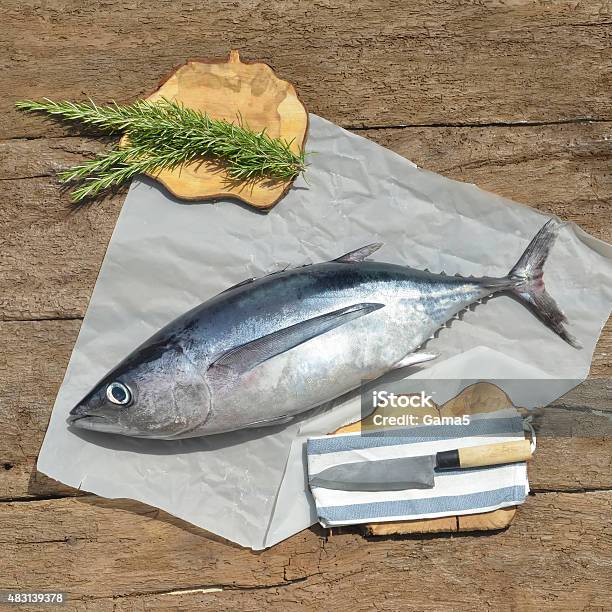 Albacore Fish Recently Stock Photo - Download Image Now - Albacore Tuna, Tuna - Animal, Whole
