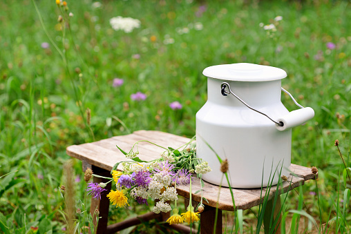 milk churn with flowers in meadow