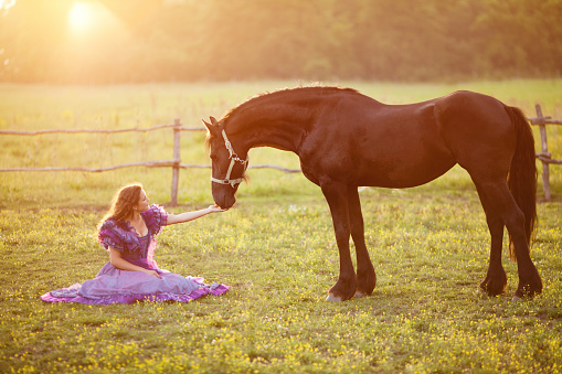Beautiful young girl with long curly hair wearing purple vintage dress and enjoying in time with her white horse. They spanding time on the field and posing at sunset, when the sun makes wonderful haze in the air. Very shallow depth of field.