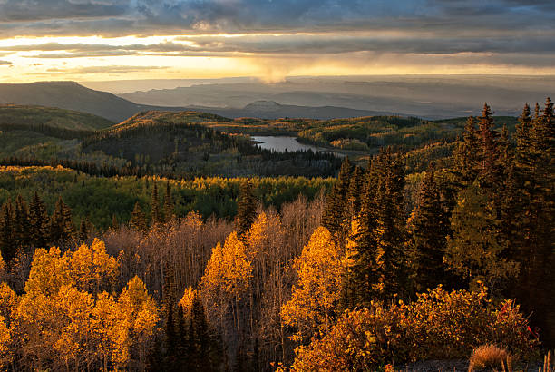grand mesa pôr-do-sol - colorado coniferous tree mountain range mountain - fotografias e filmes do acervo