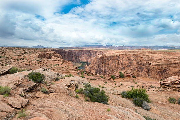 istock Colorado River in Grand Canyon 483140966