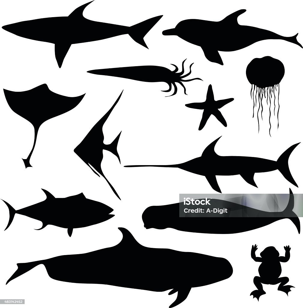 Aquatic Animals Silhouette illustration of aquatic creatures including a shark, a whale, a starfish, a squid, a dolphin a sword fish, a frog, an angle fish, an electric ray, a jelly fish, and a beluga whale Whale stock vector