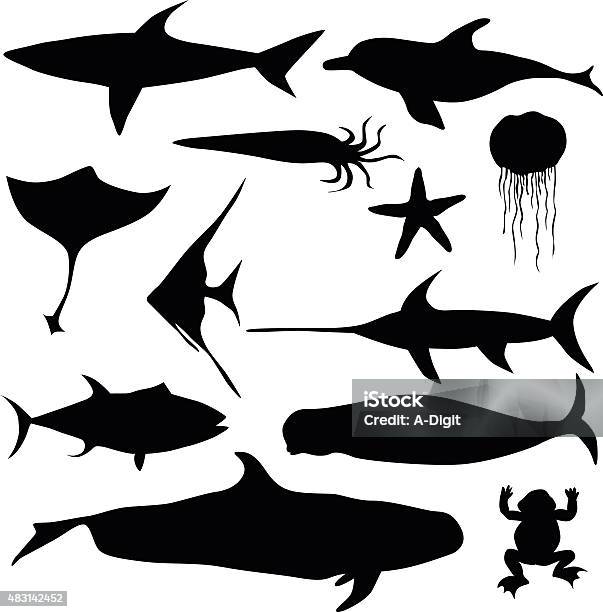 Aquatic Animals Stock Illustration - Download Image Now - Whale, In Silhouette, 2015