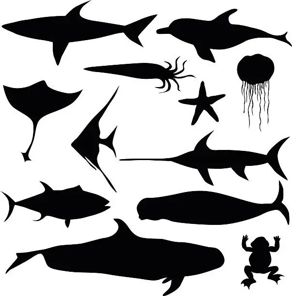 Vector illustration of Aquatic Animals