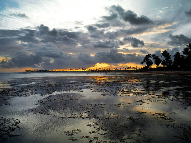 istock Beautiful Sunset at Guarajuba Beach in Bahia State, Brazil 483144732