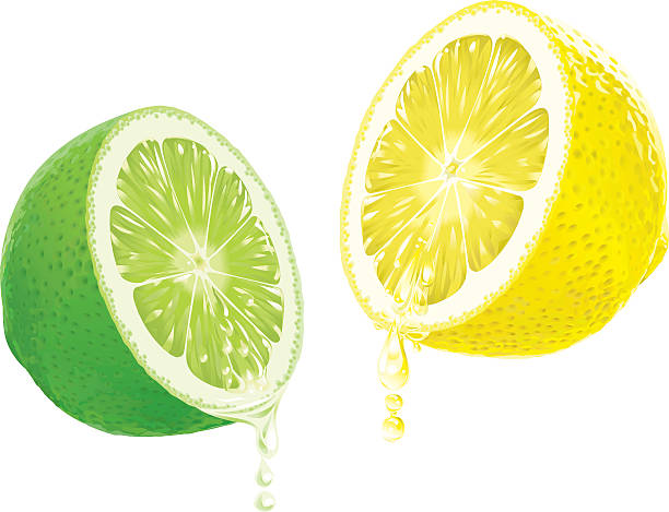 лимона, лайма с капель сока - lime juice illustrations stock illustrations