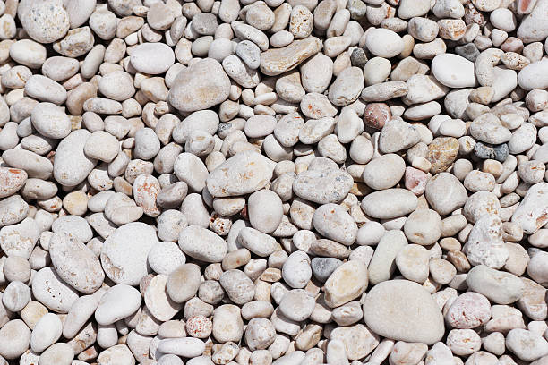 mar, praia, o pacífico sul e o brilhante área de cascalho - pebble water gray silver - fotografias e filmes do acervo