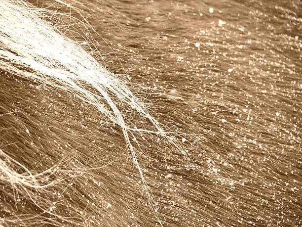 caballo fondo de piel - chestnut close up close to macro fotografías e imágenes de stock