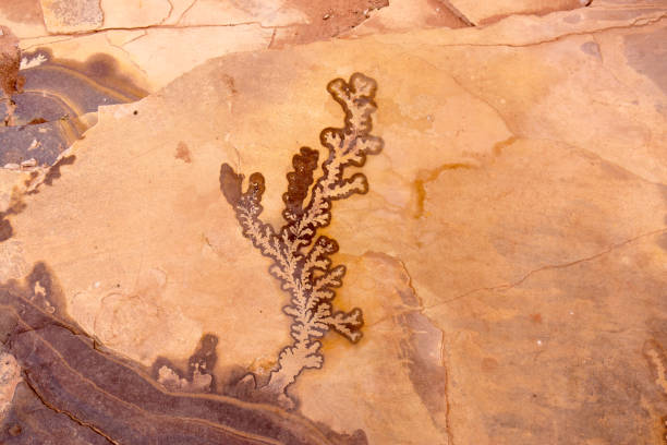 istock Rock formations in Petra, Jordan 483147483