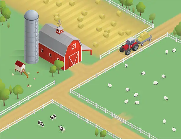 Vector illustration of Isometric Farm Scene