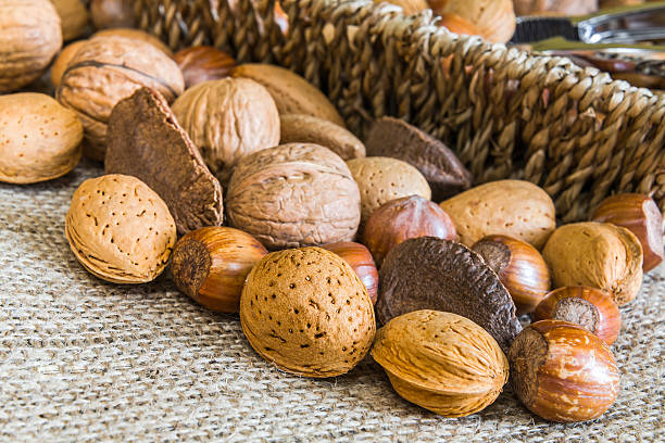 istock almonds, hazelnuts, walnuts and brazil nuts in front of basket 483148035