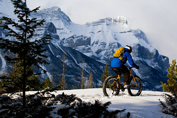 冬の脂肪サイクリング - extreme terrain powder snow winter snow ストックフォトと画像