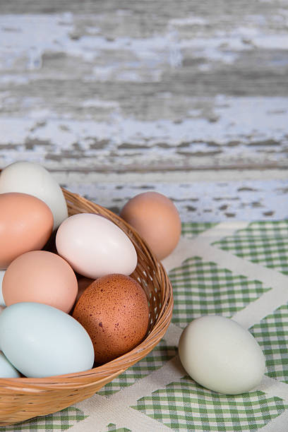 istock Assortment of different color chicken eggs in a basket 483150901
