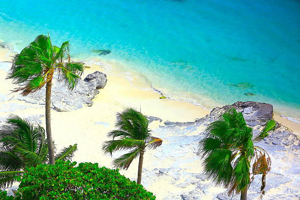 istock Paradise: deserted palm beach at sunset in Cancun, Caribbean 483151646