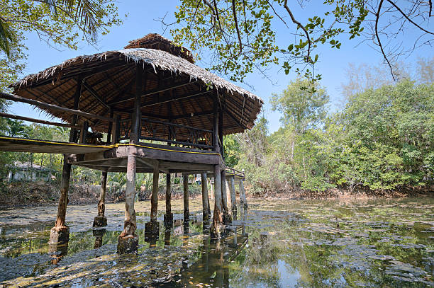 istock Table chairs and arbor in Phangnga province , Thailand 483151947