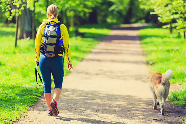 frau läufer spaziergang mit hund im sommer park - gehen sportdisziplin stock-fotos und bilder
