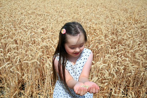 Adorable little girl in white dress in a wheat field